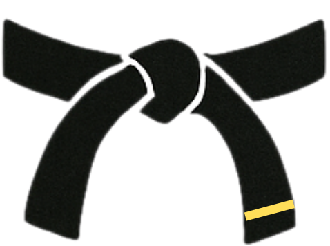 Taekwondo Rank Promotion Bracelet Gift - Parks Plantation - Online