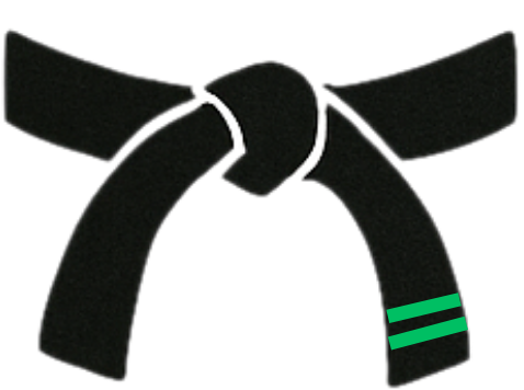 Taekwondo Rank Promotion Bracelet Gift - Parks Plantation - Online