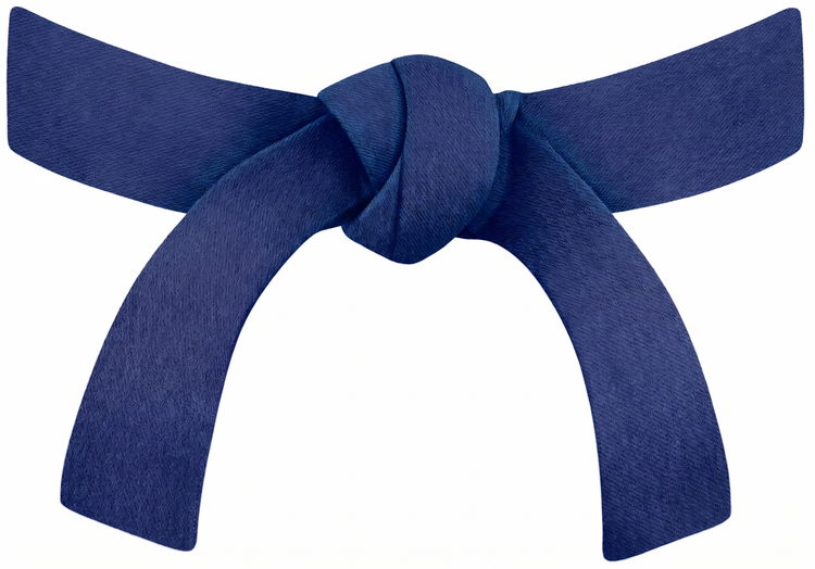 Taekwondo Rank Promotion Bracelet Gift - Parks Plantation - Online