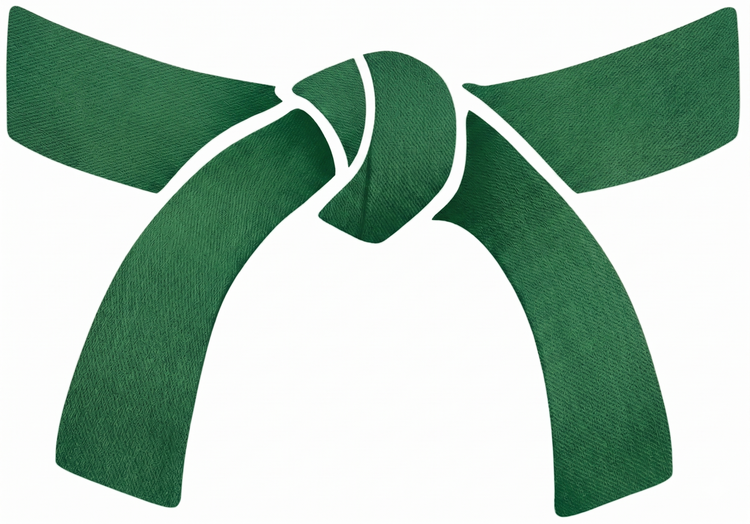 Taekwondo Rank Promotion Bracelet Gift - Parks Plantation - Online