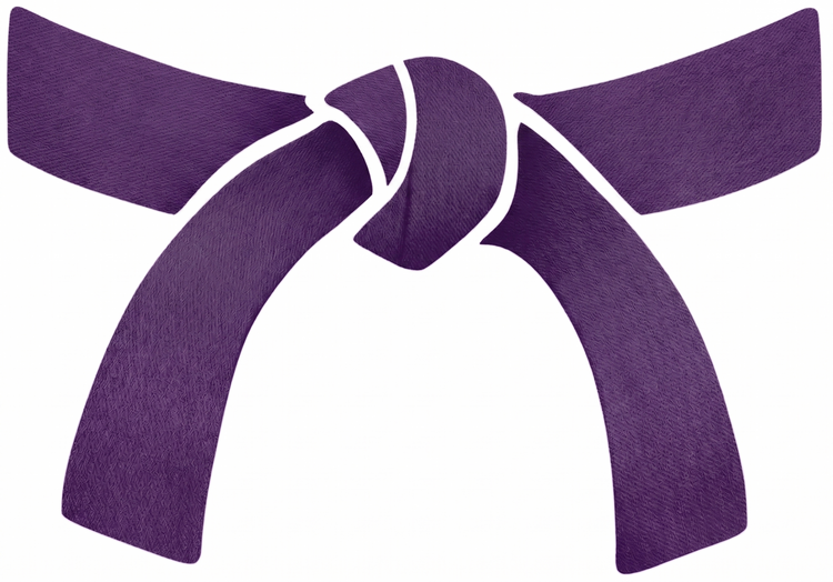 Taekwondo Rank Promotion Bracelet Gift - Parks Plantation - Online
