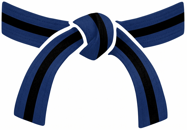 Taekwondo Rank Promotion Bracelet Gift - Parks Plantation - Online
