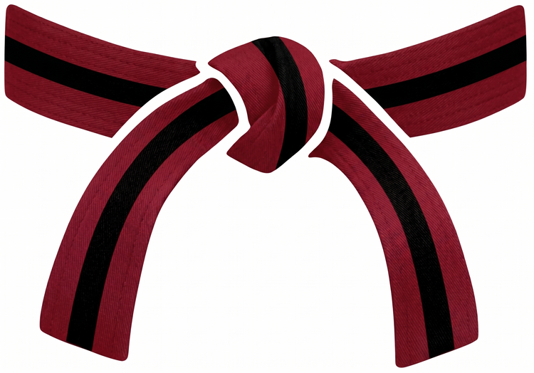 Taekwondo Rank Promotion Bracelet Gift - Parks Plantation - Online