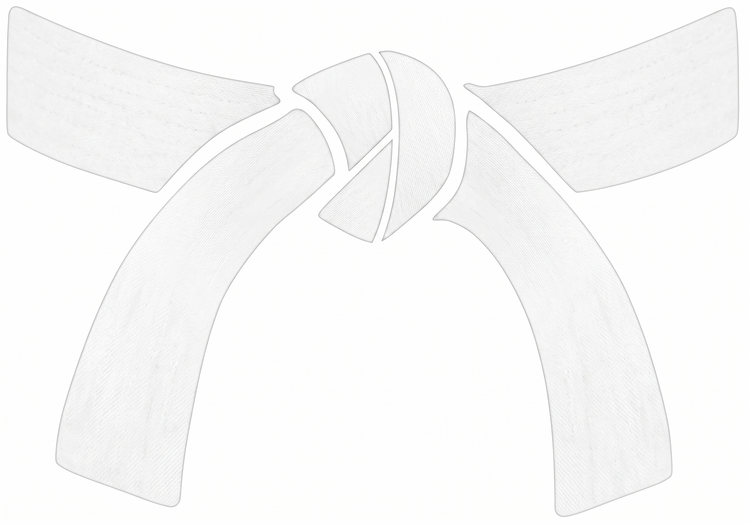Taekwondo Rank Promotion Bracelet Gift - Parks Plantation - Online